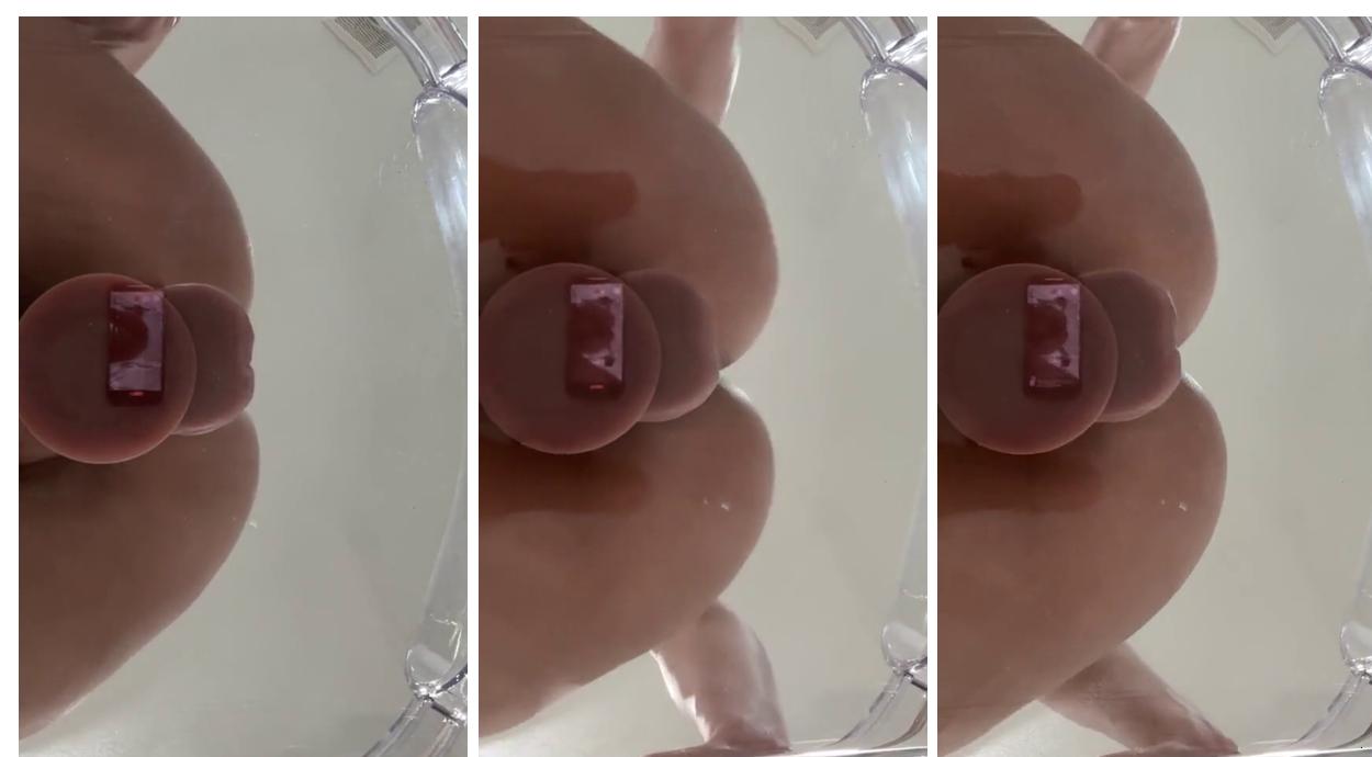 Ohkaybunny Fuck Her Pussy On Glass Chair Onlyfans Free Video